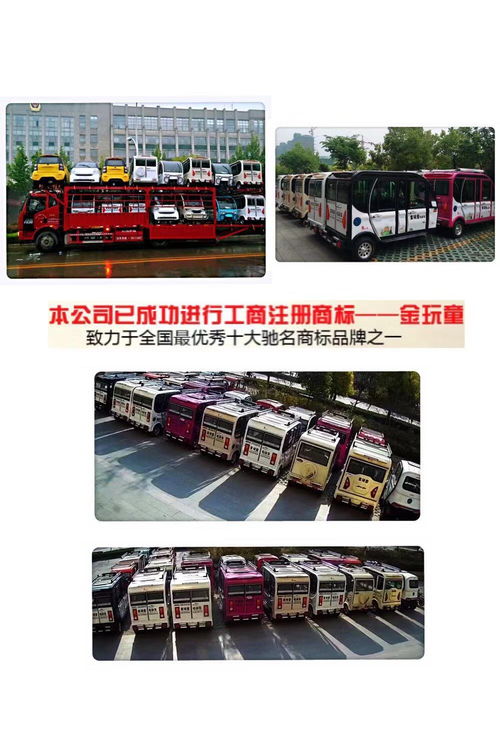 金玩童电动车 新能源引领市场潮流，低碳出行护航新未来
